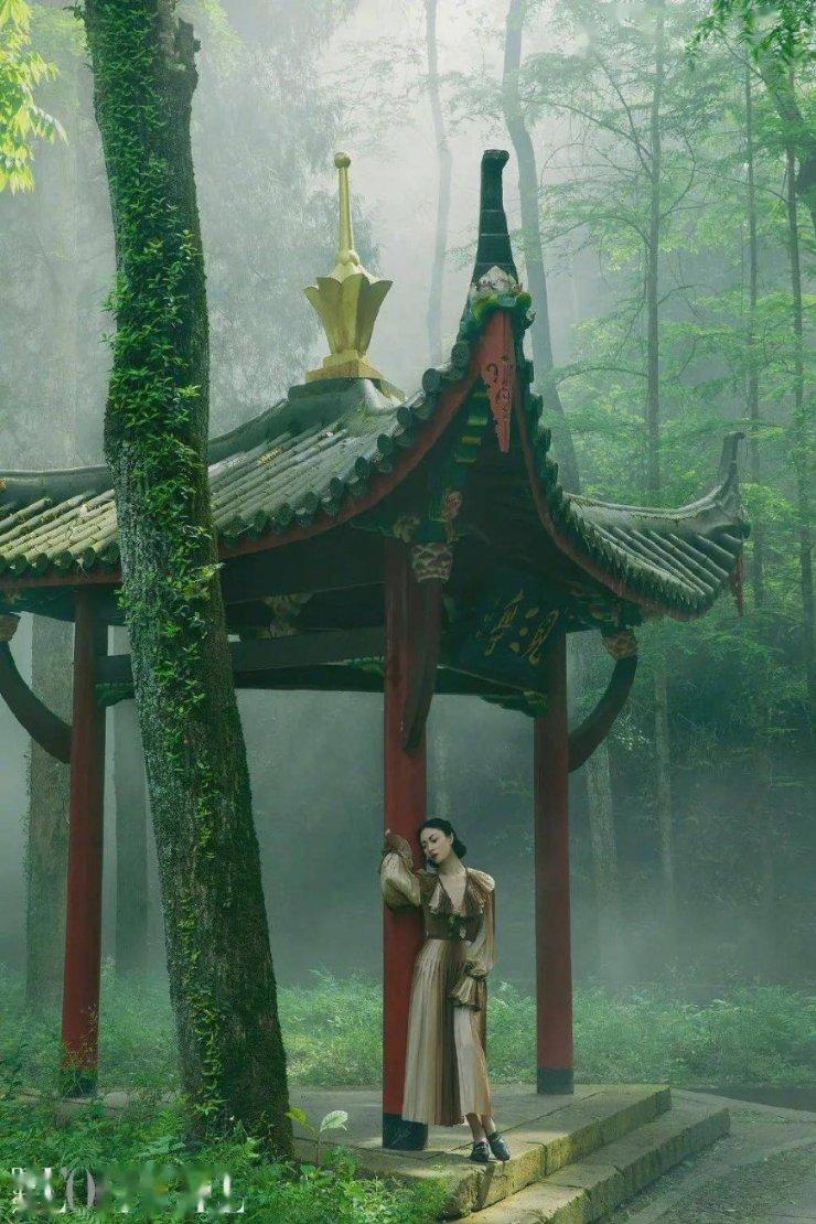 线上化保函服务实体经济